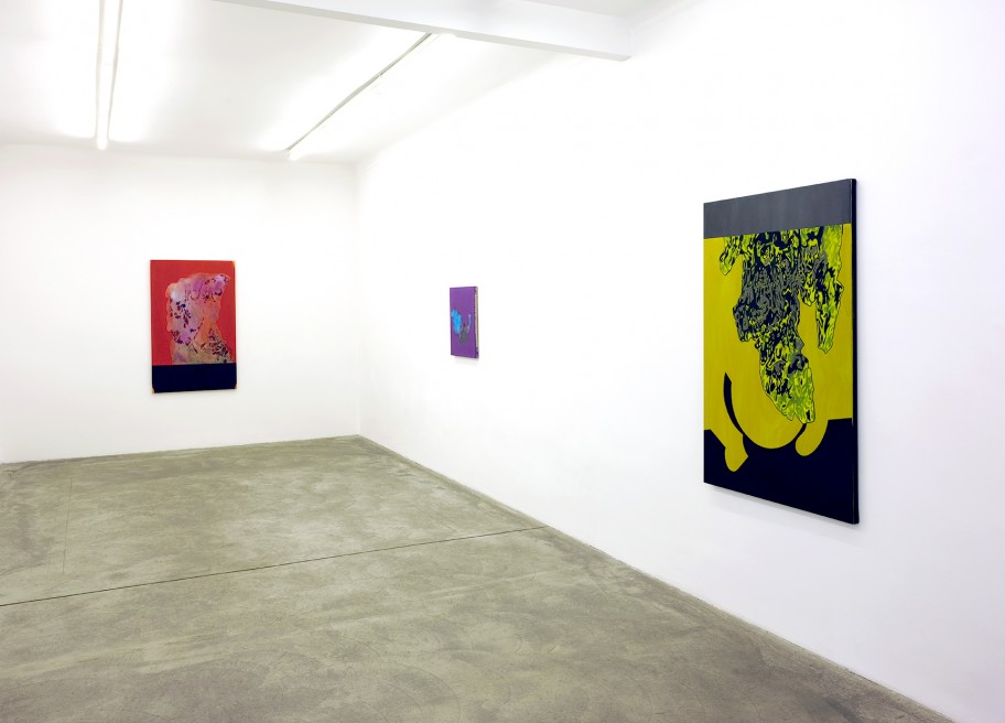 Milena Dragicevic Exhibition view, Galerie Martin Janda, 2021