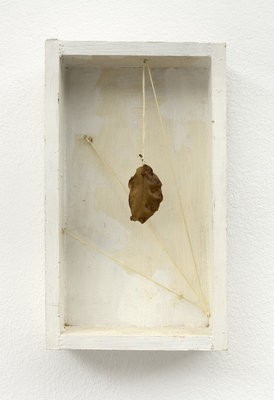 Mladen Stilinović List u kutiji (Leaves in the box), 1993leaves, acrylic, thread in wooden box 20 x 12 x 4 cm 