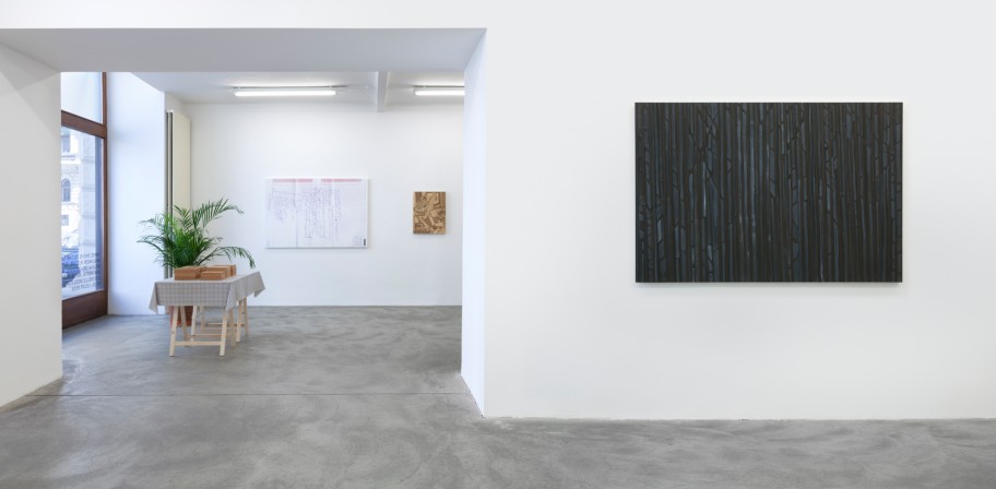 Exhibition View, Galerie Martin Janda, 2016 Photo: Markus Wörgötter 